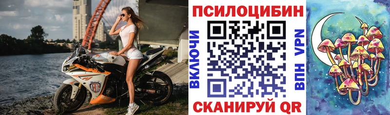 Галлюциногенные грибы Psilocybine cubensis  Красный Сулин 